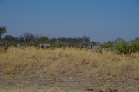 Landscape Namibia