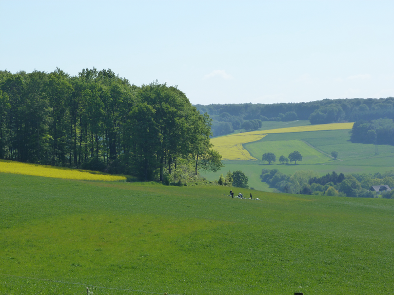 Landschaft im Westerwald/Rheinisches Schiefergebirge